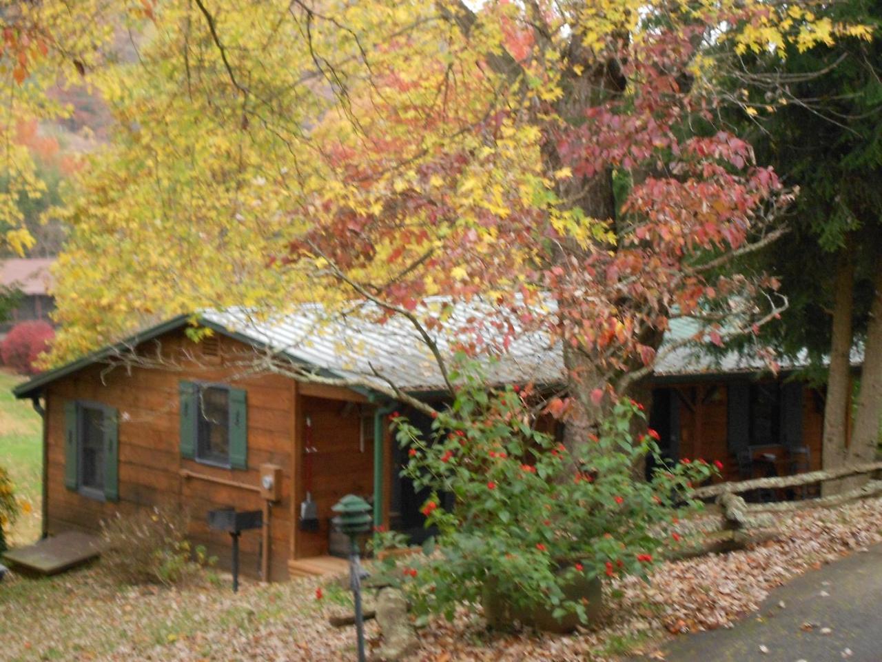 Mountain Springs Cabins Candler Eksteriør billede