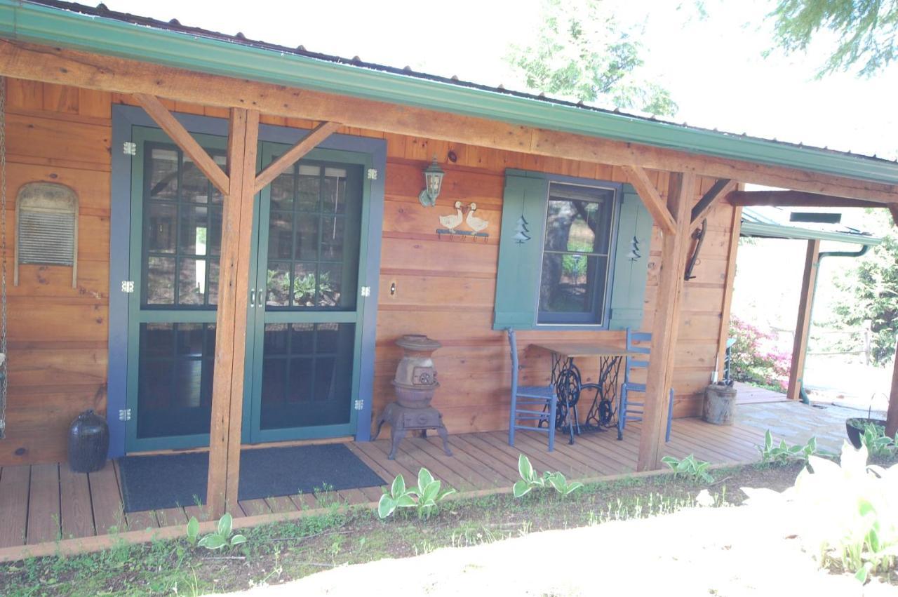 Mountain Springs Cabins Candler Eksteriør billede