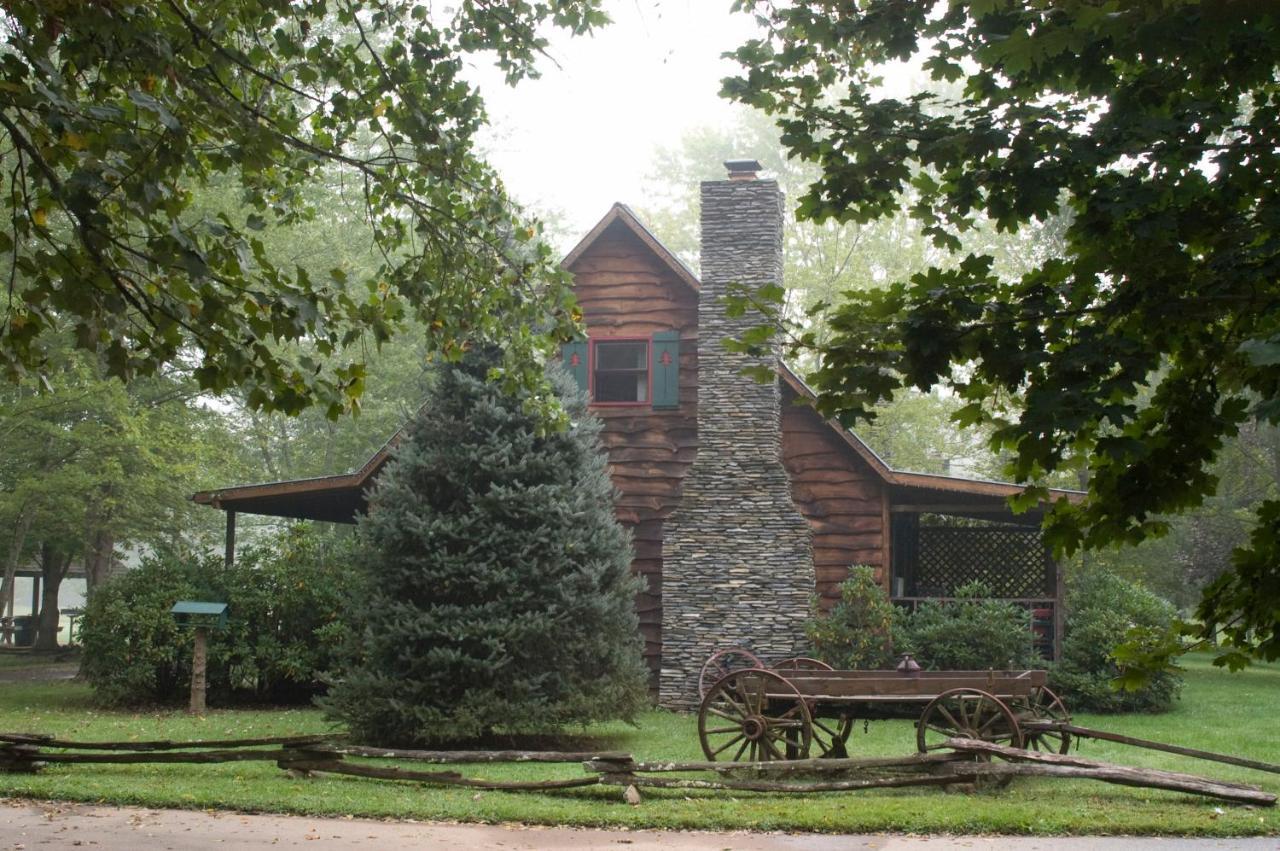 Mountain Springs Cabins Candler Eksteriør billede