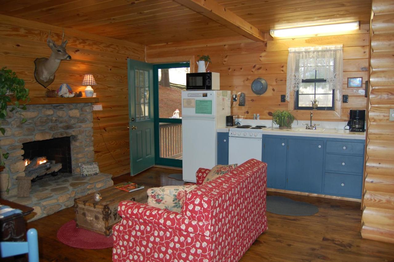Mountain Springs Cabins Candler Eksteriør billede