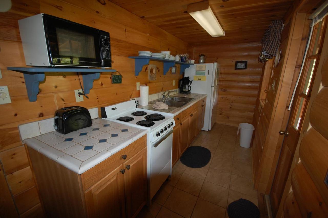 Mountain Springs Cabins Candler Eksteriør billede
