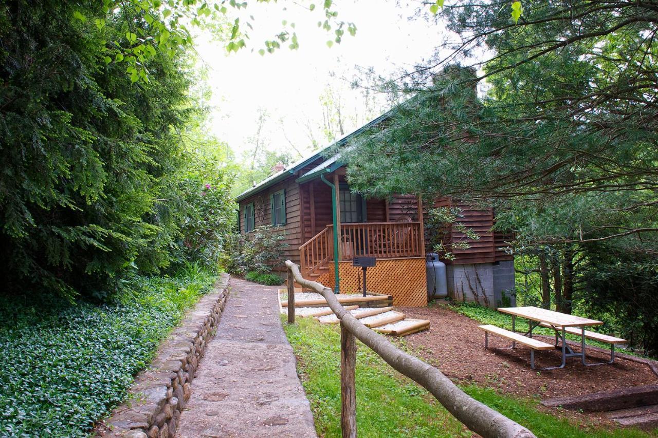 Mountain Springs Cabins Candler Eksteriør billede