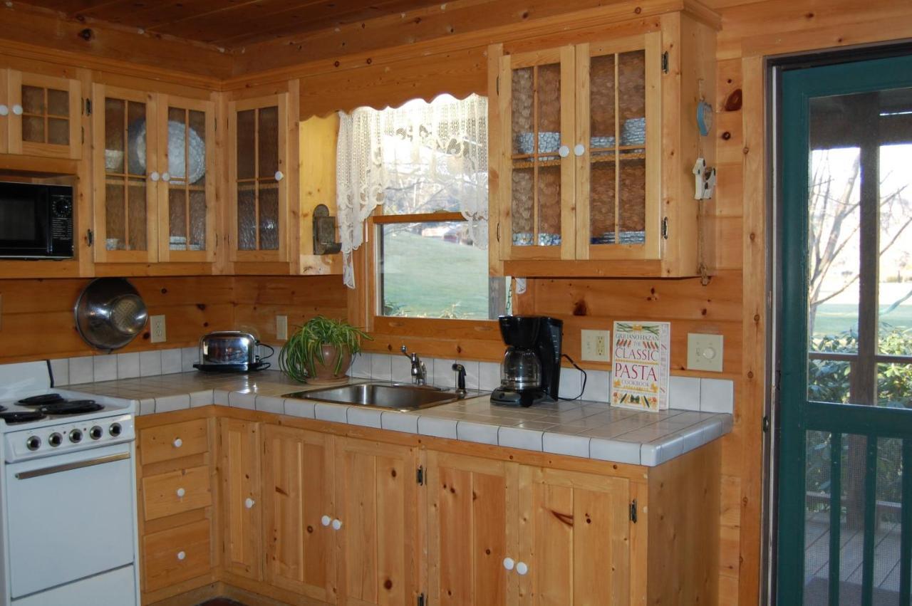 Mountain Springs Cabins Candler Eksteriør billede