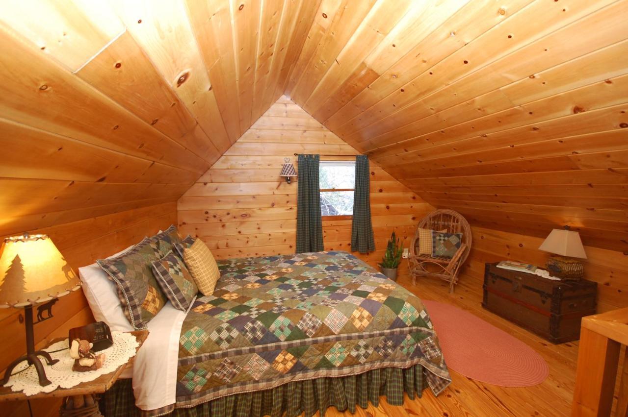 Mountain Springs Cabins Candler Eksteriør billede