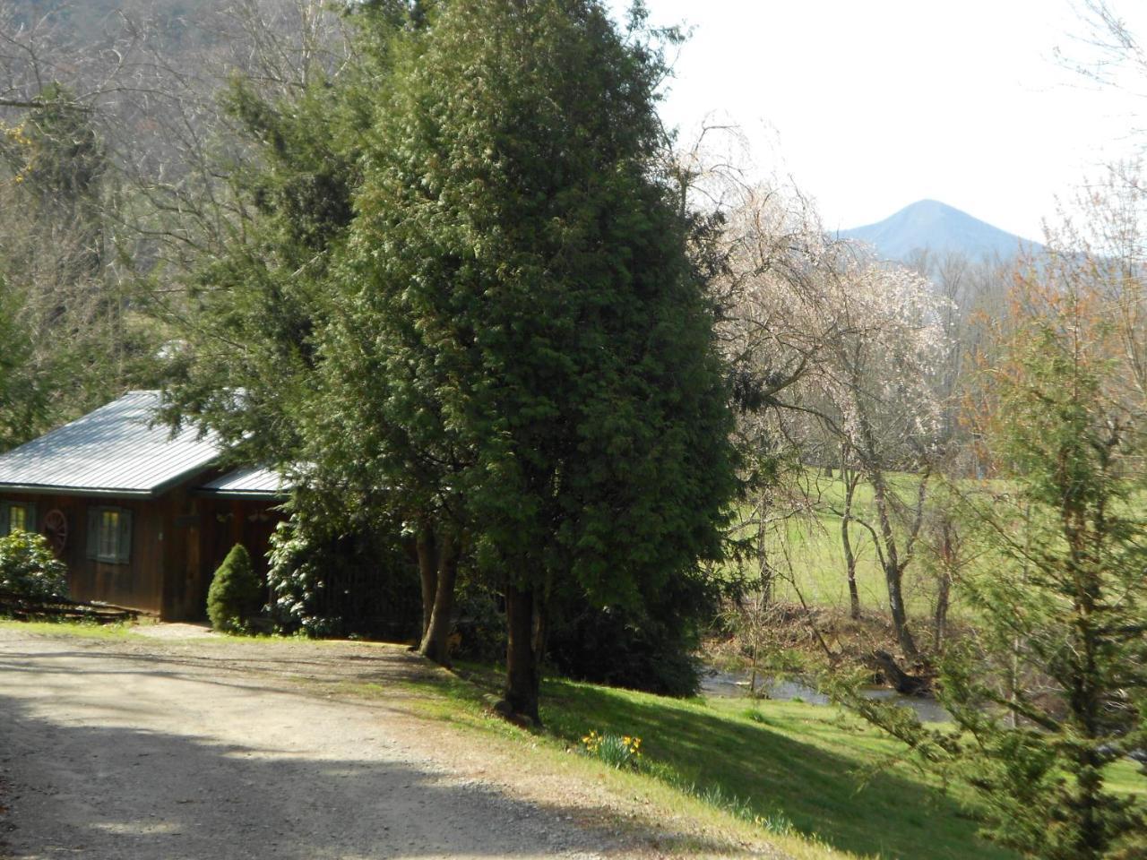 Mountain Springs Cabins Candler Eksteriør billede